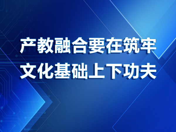 產(chǎn)教融合要在筑牢文化基礎(chǔ)上下功夫