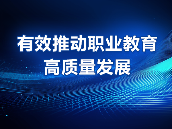 有效推動職業(yè)教育高質(zhì)量發(fā)展